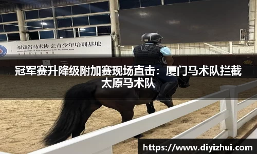 凤凰联盟平台